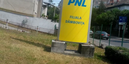 volintiru PNL