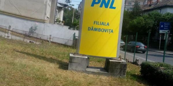 volintiru PNL
