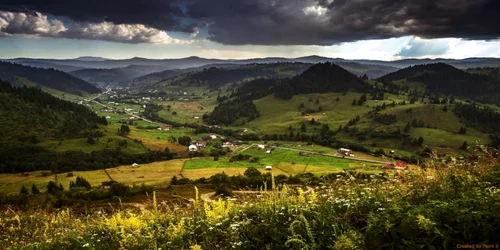 primaria fundu moldovei