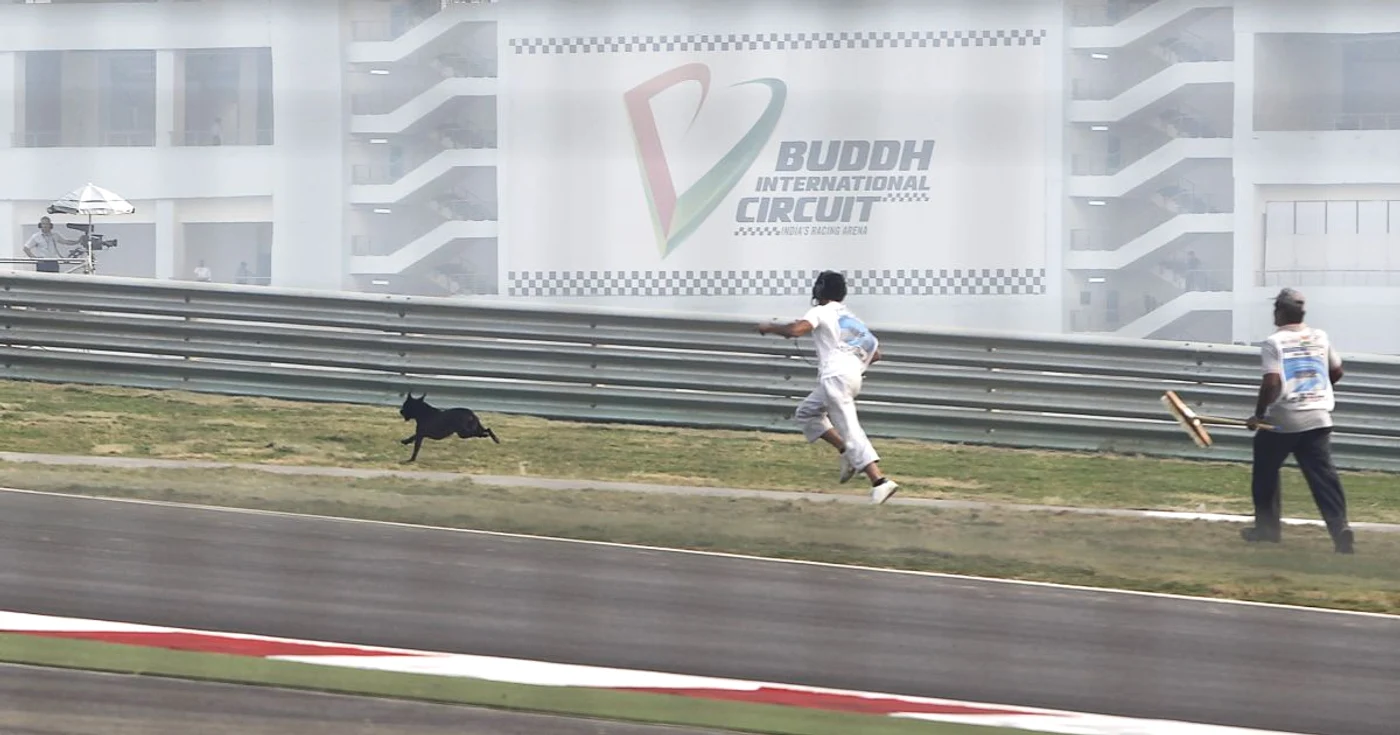 Câinii aleargă în voie pe circuitul indian de Formula 1 * Foto: Reuters