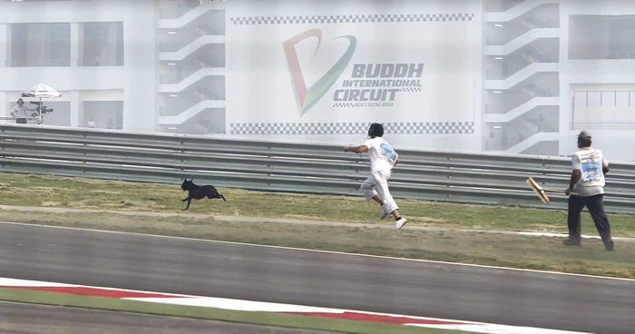 Câinii aleargă în voie pe circuitul indian de Formula 1 * Foto: Reuters