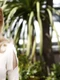 Nicole Kidman  foto   Shutterstock jpg