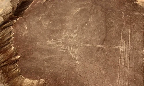 Un desen reprezentând o pisică uriașă descoperit printre „Liniile Nazca” din Peru  jpeg