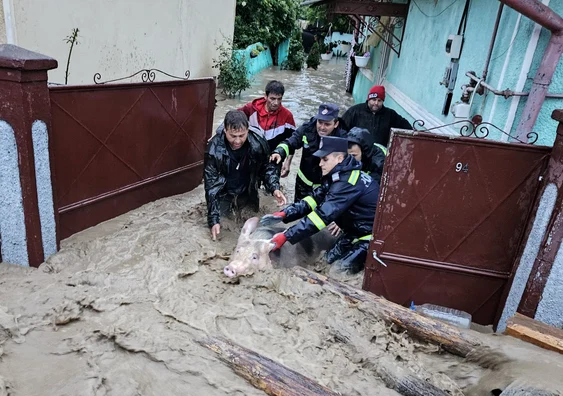 Animale scoase din gospodăria inundată de ape FOTO ISU Alba