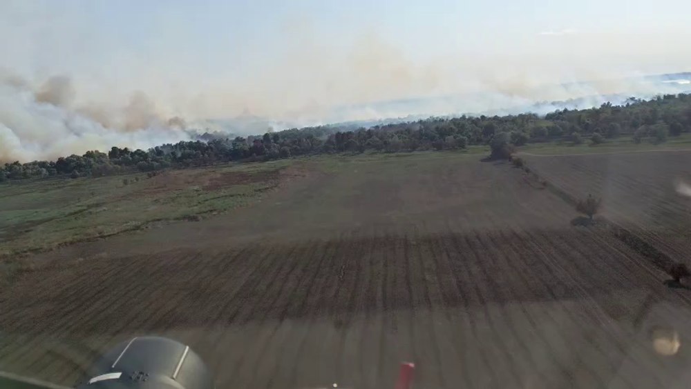 Arde o pădure din Delta Dunării, la Chilia Veche: pompierii luptă de trei zile cu flăcările. Mai multe elicoptere Black Hawk intervin