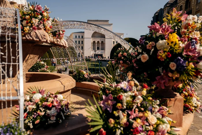 Timișoara, oraș al florilor FOTO PMT