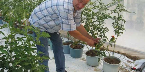 Reşiţa: Agricultura din Caraş- Severin este pe calea cea bună