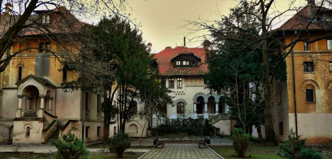 Asezamintele Bratianu