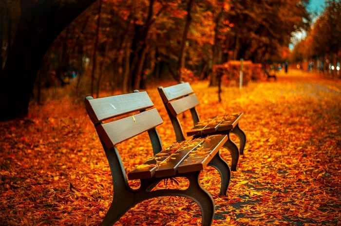 Deși suntem la mijlocul lui septembrie, avem parte de temperaturi de varăSursa foto: Pixabay