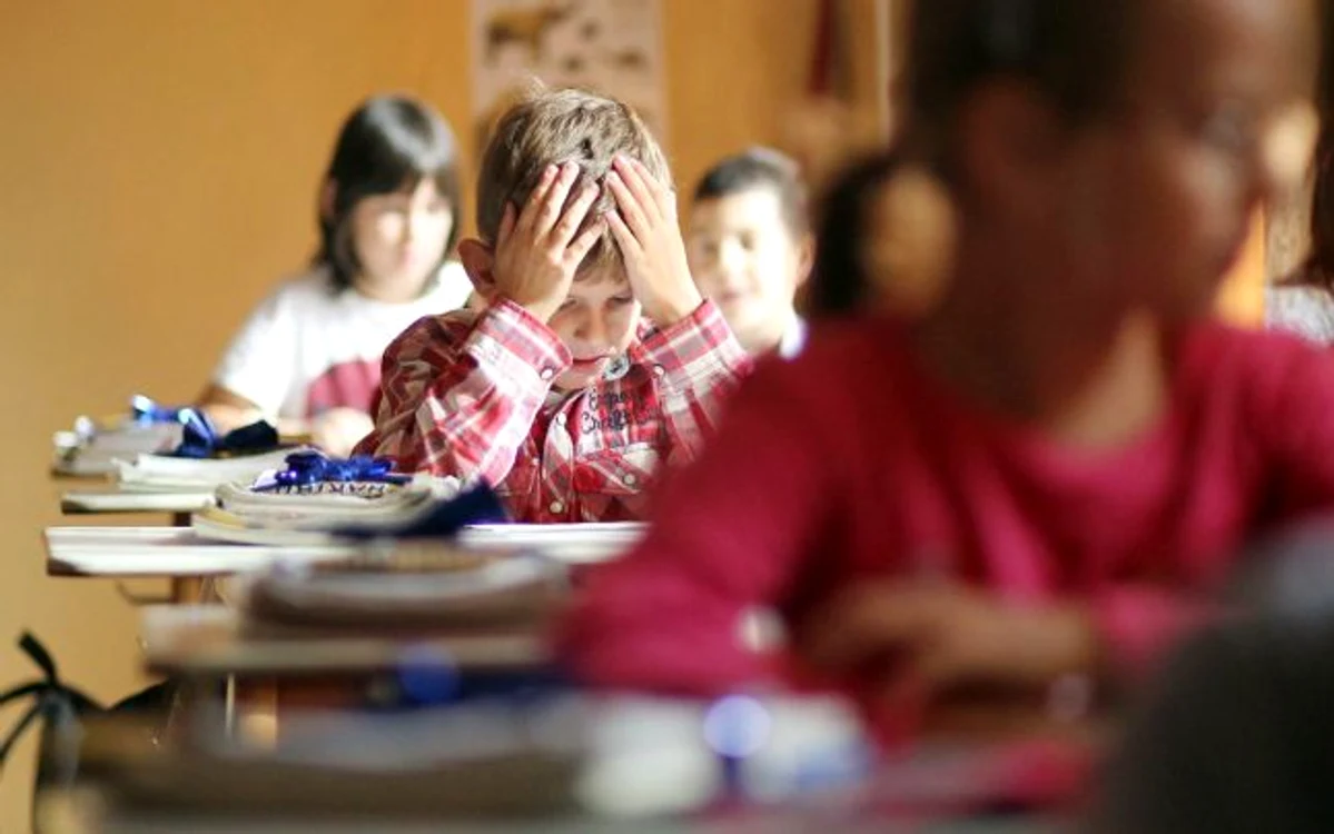 
    Subiectele de la Evaluarea la clasa a II-a sunt unice pe ţarăFOTO: adevarul.ro  