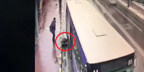 accident autobuz 