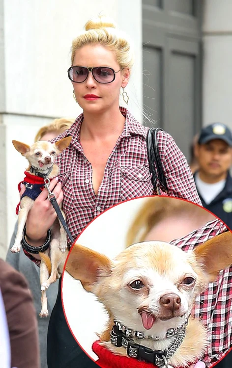 Katherine Heigl (Foto: Hepta)