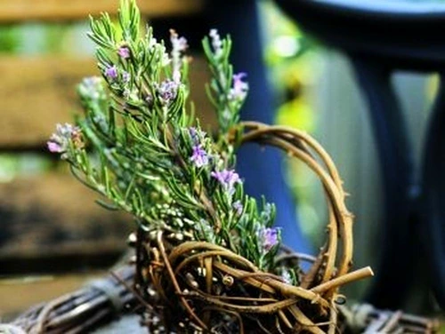 1 69780 original jpg jpeg