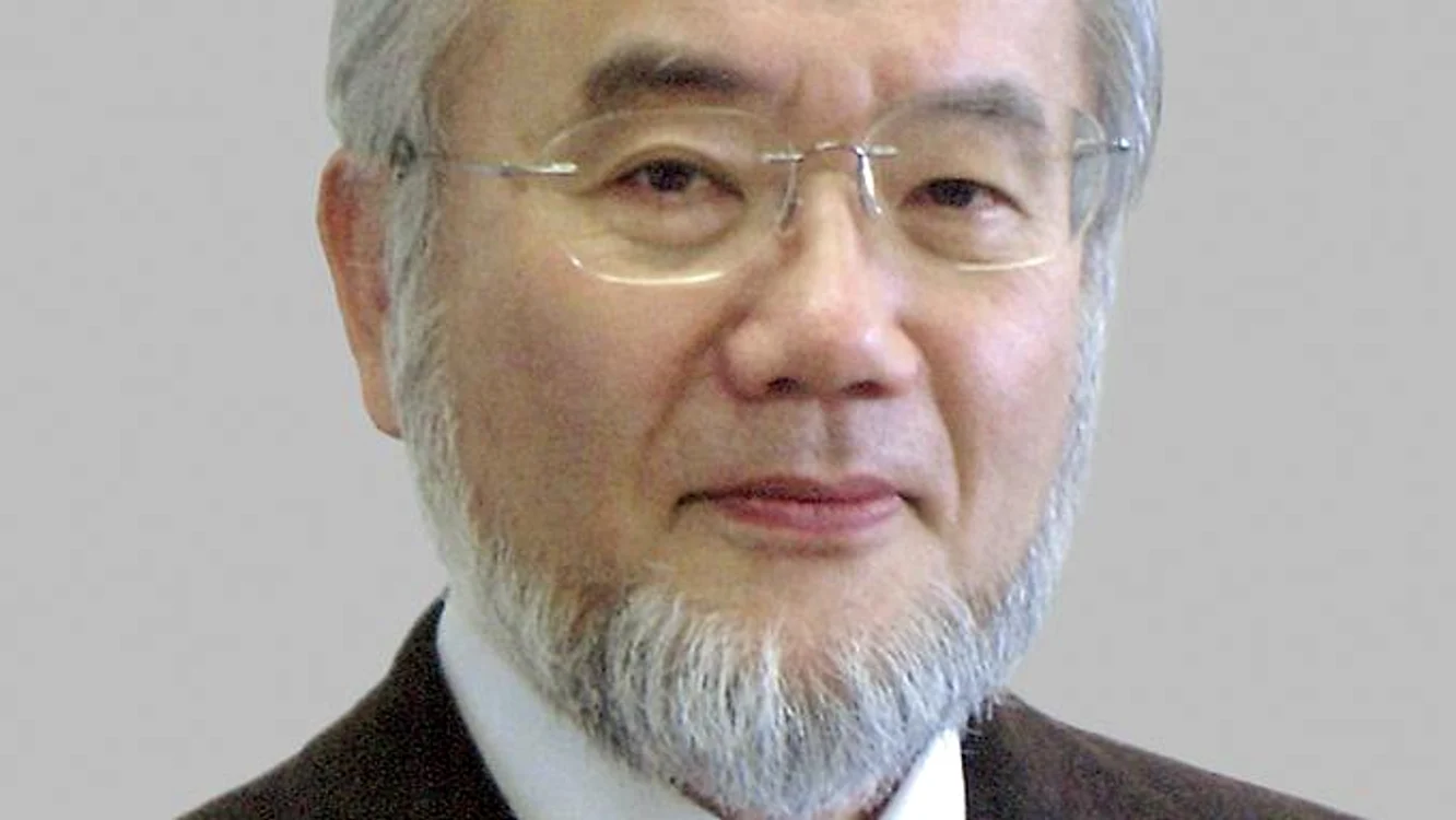 
    Câștigătorul premiului Nobel pentru Medicină, Yoshinori Ohsumi are 61 de ani   