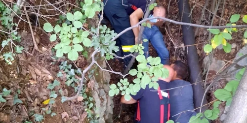 Un bărbat a încercat să se sinucidă în apropierea Mănăstirii Arnota din Vâlcea ca să-şi convingă soţia să nu-l părăsească Foto Adevărul - credit Mircea Lera