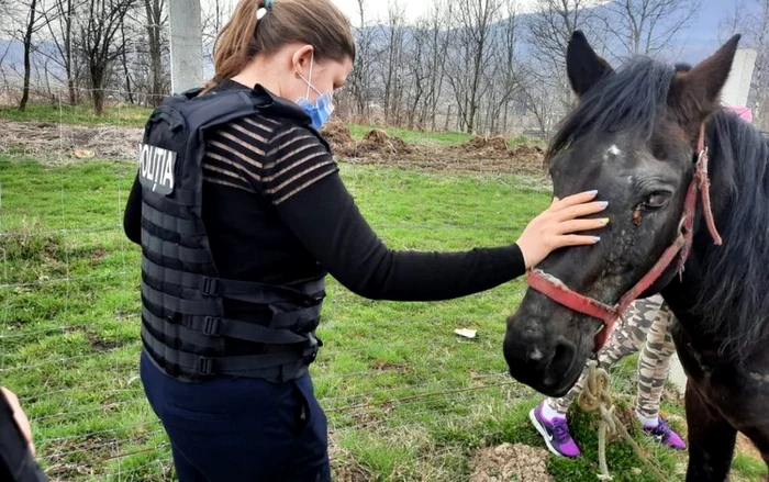 cal maltratat si politisti protectia animalelor foto ipj hunedoara