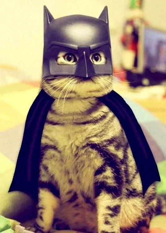 Un alt supererou gata de Halloween