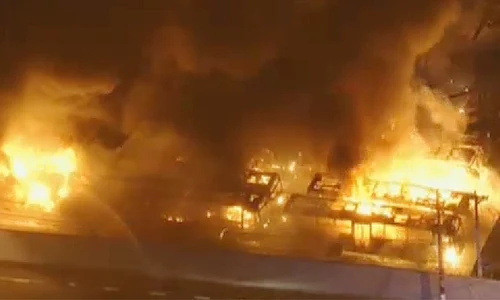 brazilia jpeg