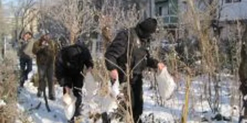 Mascații de la frontieră au confiscat ridicat "prafuri" la descinderi. 
