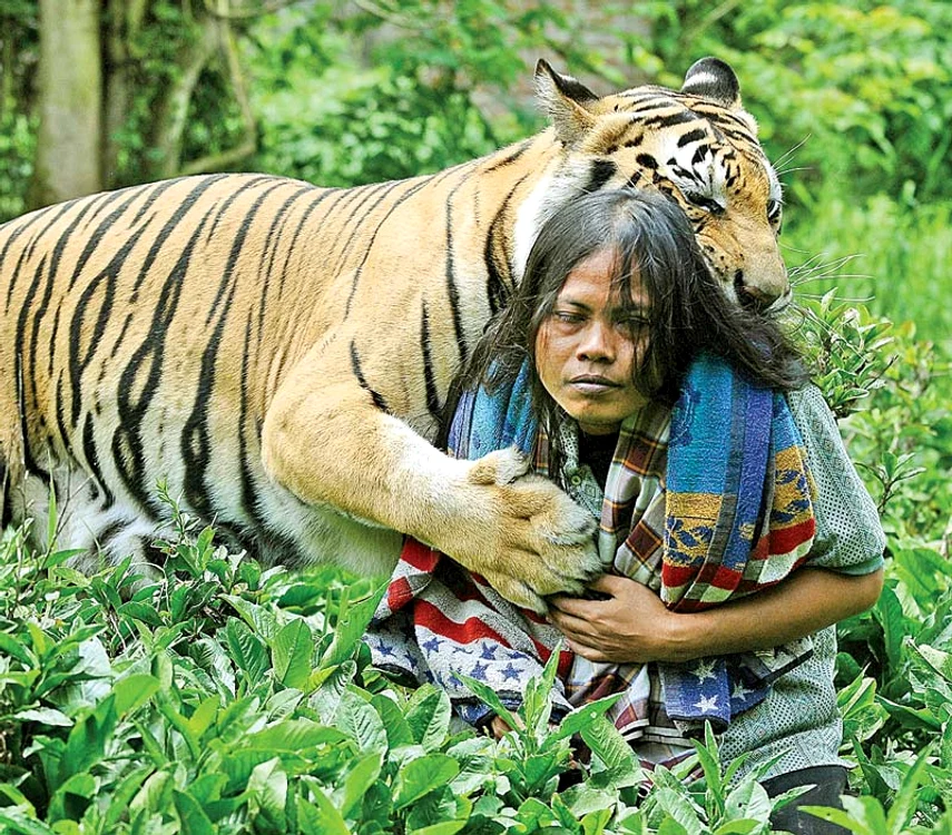 Când e supărat, Mulan îşi pupă tovarăşul ca să-l împace (fotografii: Guliver / Gettyimages)