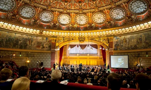 69379 10151245521050854 453380479 n jpeg