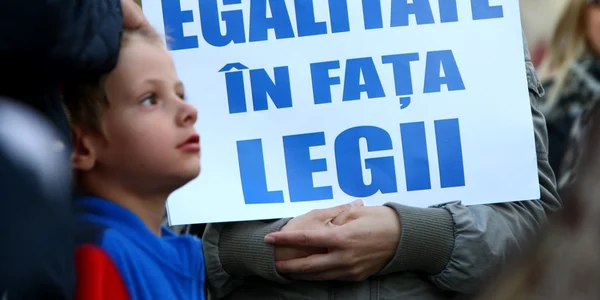 Protest după decizia Senatului în cazul Gabriel Oprea. FOTO David Muntean
