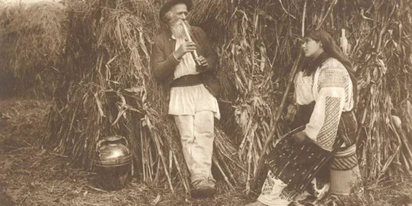 tarani