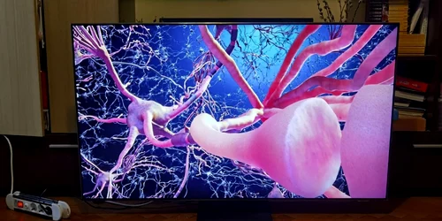 Samsung Neo QLED 55QN95A FOTO Adrian Pogîngeanu