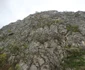 Habitatul Lalelei de Cazane Foto Romsilva Parcul Natural Porțile de Fier