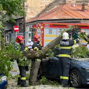 copac cazut masina ISU jpeg