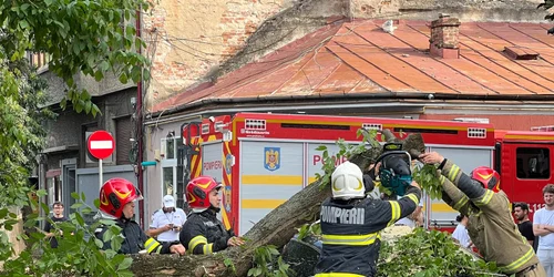 copac cazut masina ISU jpeg