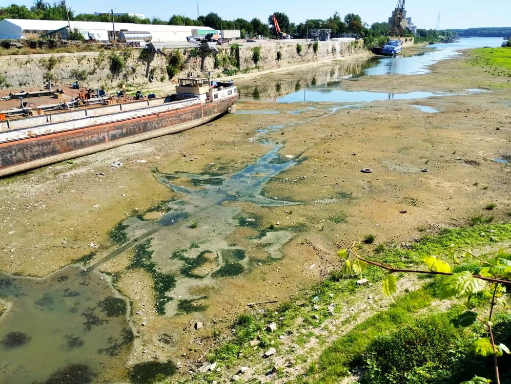 Imagini dezolante pe malul Dunării, la Giurgiu. FOTO: Apele Române