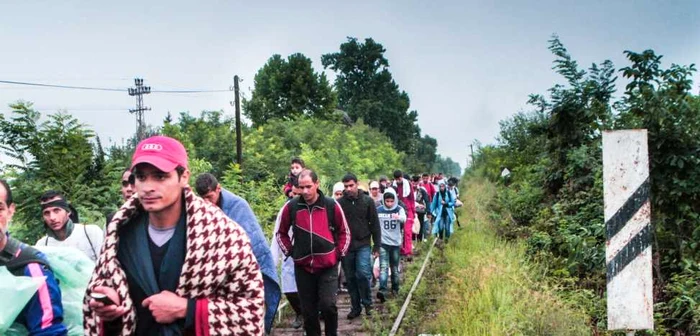 Zilnic, mii de refugiaţi încearcă să ajungă în Europa prin Serbia. Fotografii de Mircea Barbu