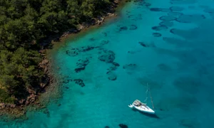 vacante speciale jpg