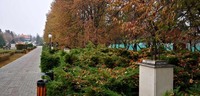 Statuile din Parcul Chindiei au fost amplasate printr-un proiect ce a vizat restaurarea Curţii Domneşti şi a centrului vechi, în valoare de 3,5 milioane de euro