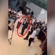 turc gif gif