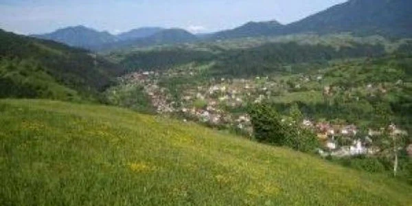 Foto. arhivă