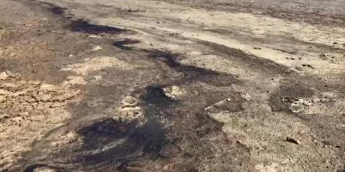 5c9ca1de445219c57ecc1f15 jpg