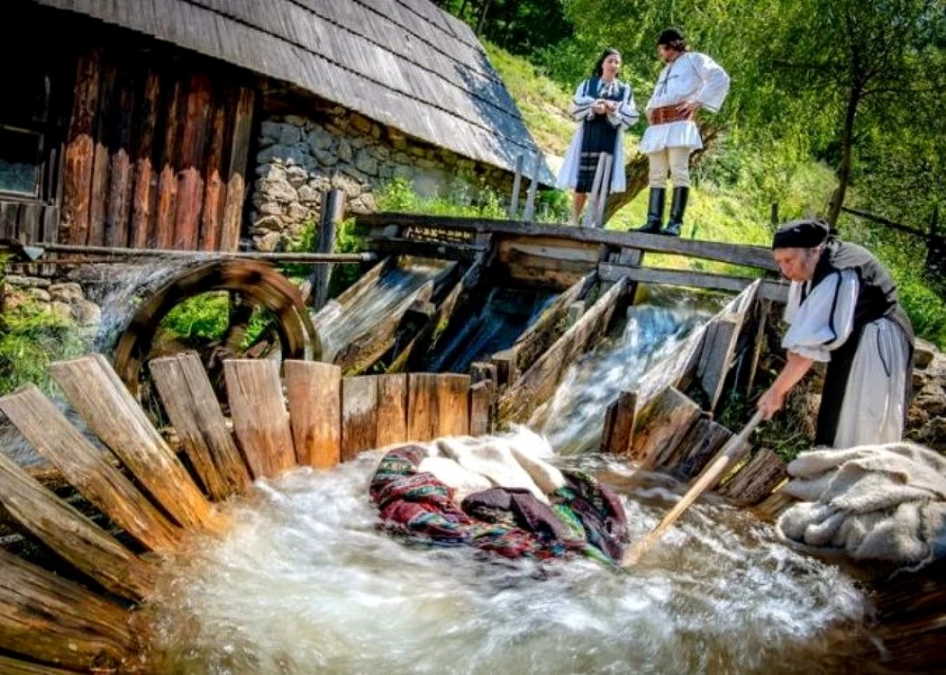 viltori alba valea sebesului