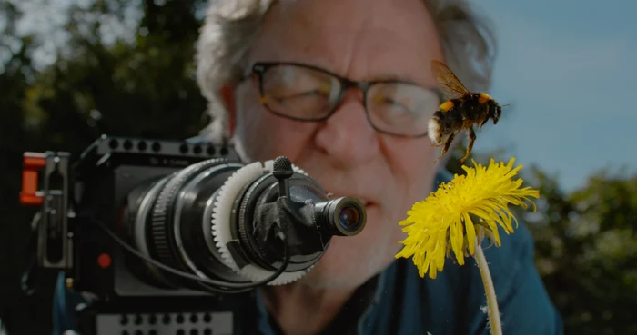 "My Garden of a Thousand Bees", o poveste despre relația om-albine