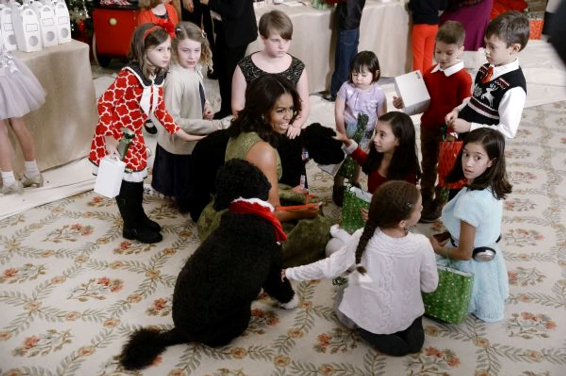 Michelle Obama hepta 2222295 jpeg