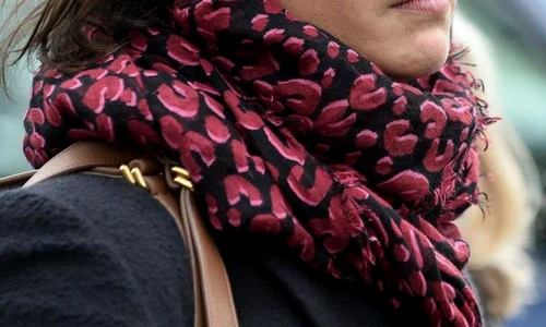 Sophie Marceau1 jpeg