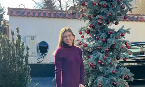 simona halep brad curtea casei ok jpg