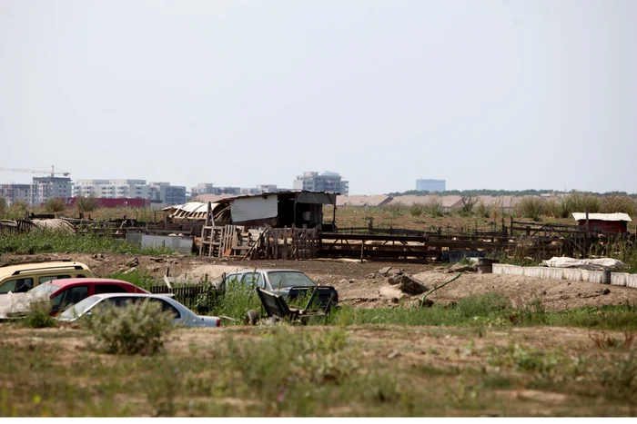 Stâna adăpostea laolaltă 250 de oi, 50 de capre și 15 porci, aceștia din urmă fiind sacrificați