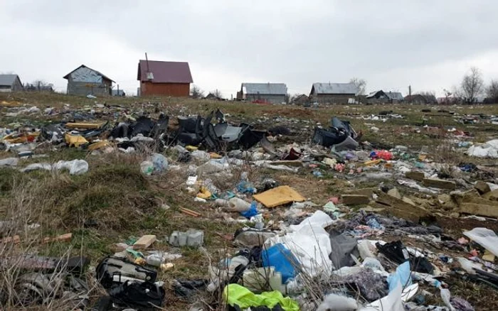 FOTO: Cristi Şuiu