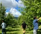 Stațiunea Pomicolă Voinești produce și cireșe. FOTO Dan Comănescu