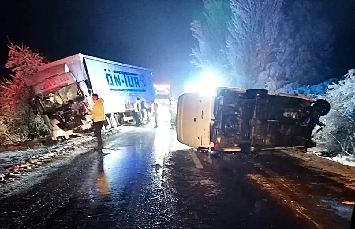 Accident în Timiş FOTO DRDP Timişoara