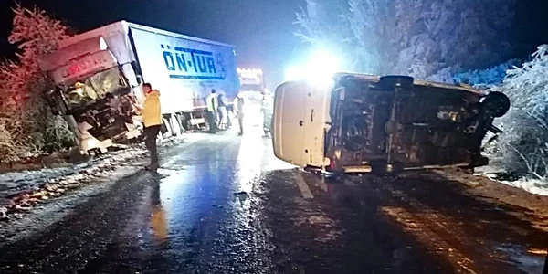 Accident în Timiş FOTO DRDP Timişoara