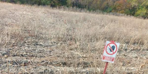 Proiectile explozive găsite pe şantierul autostrăzii A7 jpg