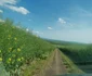 Vulcanul adormit de lângă Timișoara